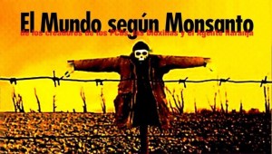 OlO Sviluppo sostenibile_ articolo Monsanto-e1357340561745