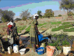 Bei Gesti Africa Pozzi Sotto i piedi all'Acqua MAGIS