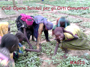 Ciad Orti Comunitari Donne orti 2 con Titoli