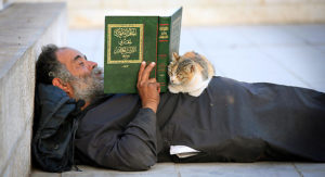 olo-isis-e-i-gatti-gatto-islam